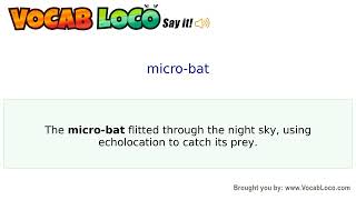 Video thumbnail for micro-bat