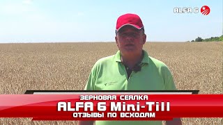 Зерновая сеялка ALFA 6 Mini-Till отзывы по всходам