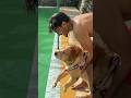 Leo Ko Swimming Pool Me Fek Dia Shorts Anant Rastogi