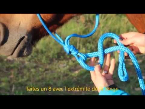 comment monter avec un hackamore