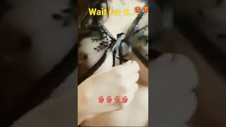 Download lagu No bra challenge korean👙 challenge insta models #tiktok #best 🙏 #viral mp3