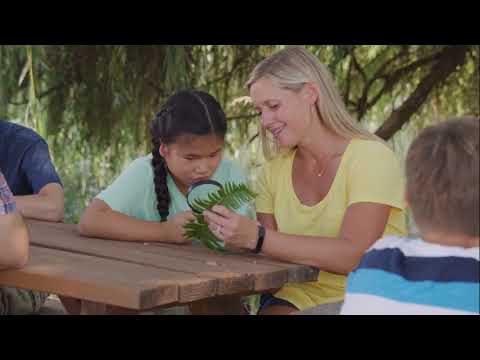 Team Together 3 Unit 1 Culture - schools in the UK