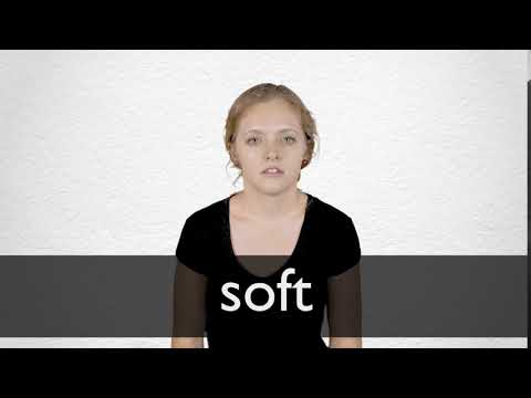 Chinese Translation Of “Soft” | Collins English-Chinese Dictionary