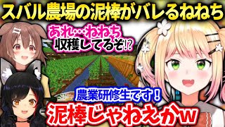 ホロ農業の闇!?研修生として潜入しながら作物を盗むねねちミオしゃころねにバレ逃亡【桃鈴ねね/ホロライブ】
