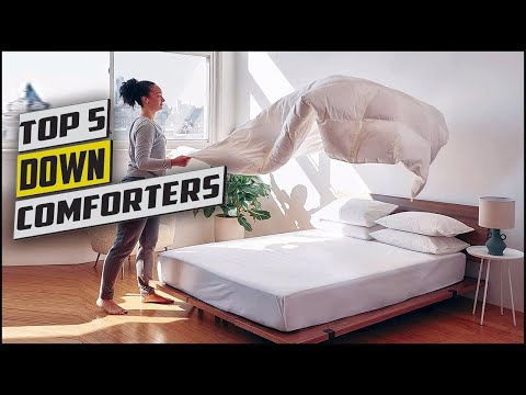 Best Down Comforters   /  top 5  Down Comforters 2024