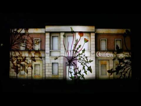 Linfa Vitale BOtanique Bologna Apparati Effimeri