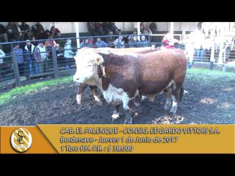 01-06-17 Venta de Toros P.H. P.R. - Cab. El Palenque - Bordenave.