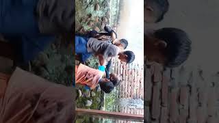 Download lagu Cah sangar mp3 Download lagu Cah sangar mp3