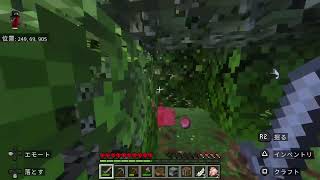 [マイクラ]初心者がハードコアチャレンジ！