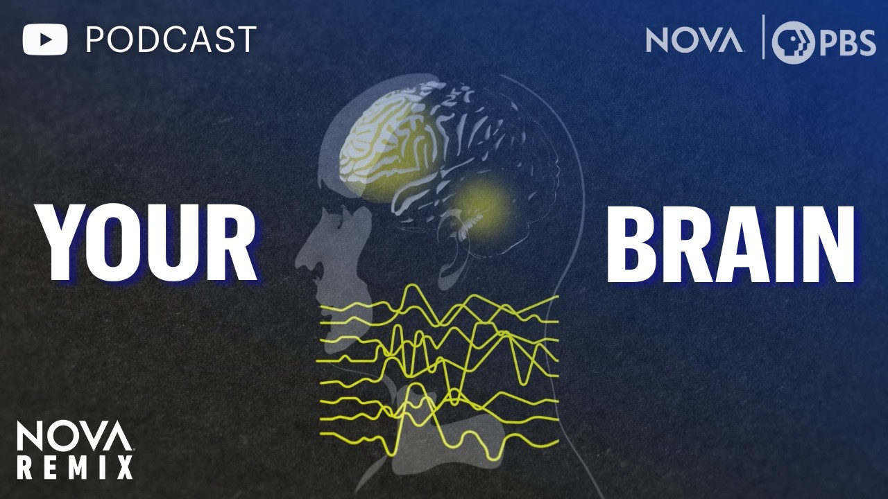 [PODCAST VERSION] Your Brain | NOVA Remix