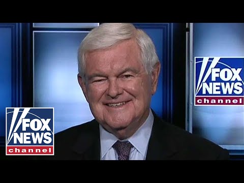 Newt Gingrich calls New York Times a 'propaganda paper'