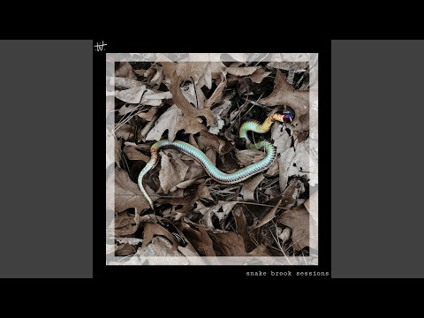 Hollow - Wildfeuer