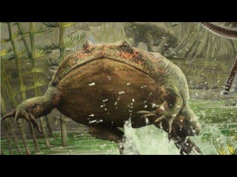 Aprenda sobre o Beelzebufo o maior sapo que ja existiu