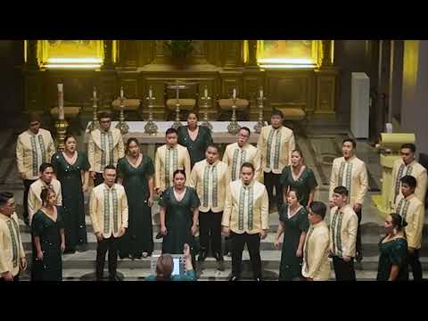 Dona La Pace by Dino Stella