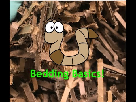 Worm bin basics: bedding