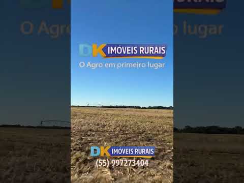 Arrendamento Rural | Oportunidades em Santana do Livramento, Santo Antônio das Missões e São Gabriel