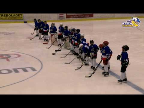 Czech Vikings Lions Cup Huddinge 2016