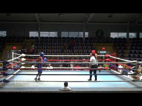 Ronoy Torrez VS Angel Blass - Boxeo Amateur - Miercoles de Boxeo
