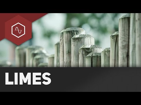 Limits & Boundary Values