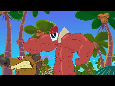 Zig & Sharko | Super Bernie | BEST CARTOON COLLECTION | New Episodes in HD