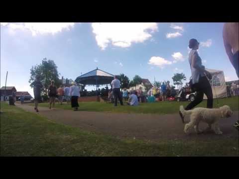 HVBB Creep 6th Aug 2016