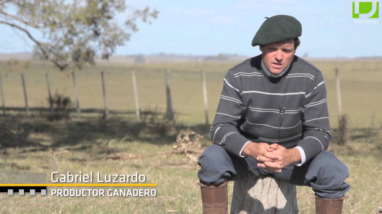 Uruguay Agrointeligente: Carne y lana