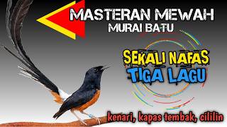 Download lagu sekali nafas 3 lagu !! MASTERAN MURAI BATU ROLL TEMBAK 3 LAGU MEWAH‼️ mp3 Download lagu sekali nafas 3 lagu !! MASTERAN MURAI BATU ROLL TEMBAK 3 LAGU MEWAH‼️ mp3