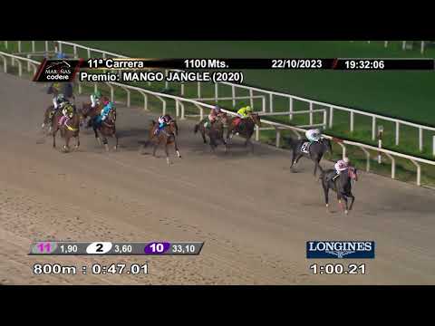 231022 c11 QUEEN QUILLA