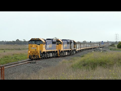 Broad Gauge Grain Train With XR553 XR550 XR555 (10/9/2021) - PoathTV Australian Railways