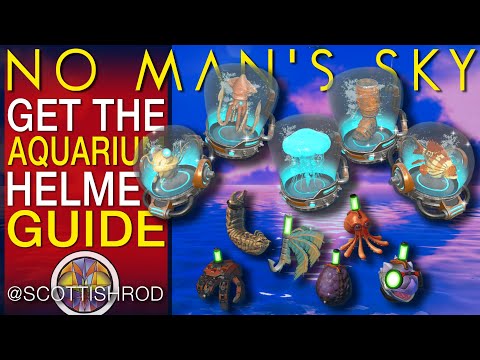 How To Get The Aquarium Helmets & Floats Fishing Milestones Guide - No Man's Sky - NMS Scottish Rod