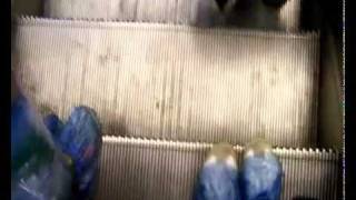 erlend oye - symptom of disease