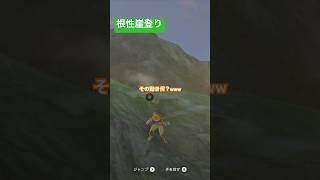 【 #ゼルダの伝説ブレスオブザワイルド 】根性崖登り