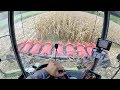 Cab View Claas Lexion 570 Capello Diamant 8 Rows Mais Harvest