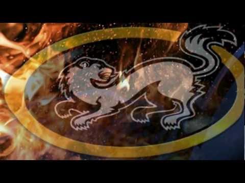 Oulun Kärpät 2011-2012 - Maalibiisi