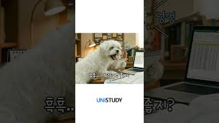 할 게 많은 대학생을 위한, 유니 AI 메이트