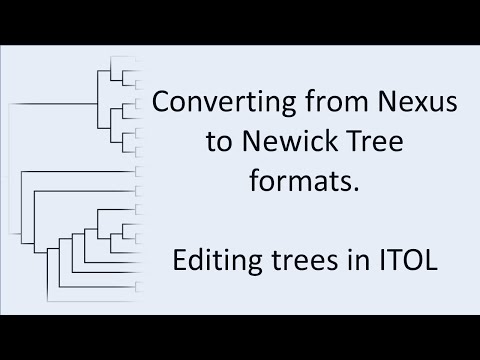 Anvio Pangenome Analysis Tutorial