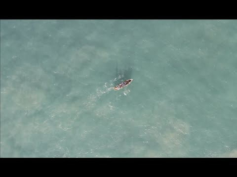 2020 - OFFLINE AFTER PARTY -  Quelonios Festival february