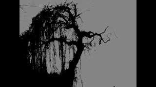 Flow - Transister [Lyrics Inglés - Español]