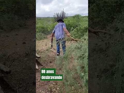 Desbravador de 88 anos no sertão de Currais Novos RN.