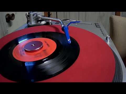 Mother and Child Reunion ~ Paul Simon ~ 1972 ~ Styrene