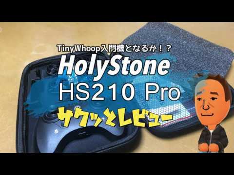 HolyStone HS210Pro サクッとレビュー | Jizomae's site