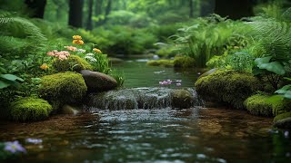 🍂 Healing Water Sounds + Soft Piano 🌿 Calm Your Mind, Ease Anxiety, Sleep Better