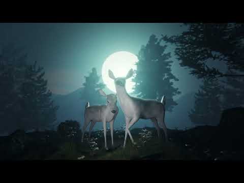 Voj & 3ska - Places (album teaser)