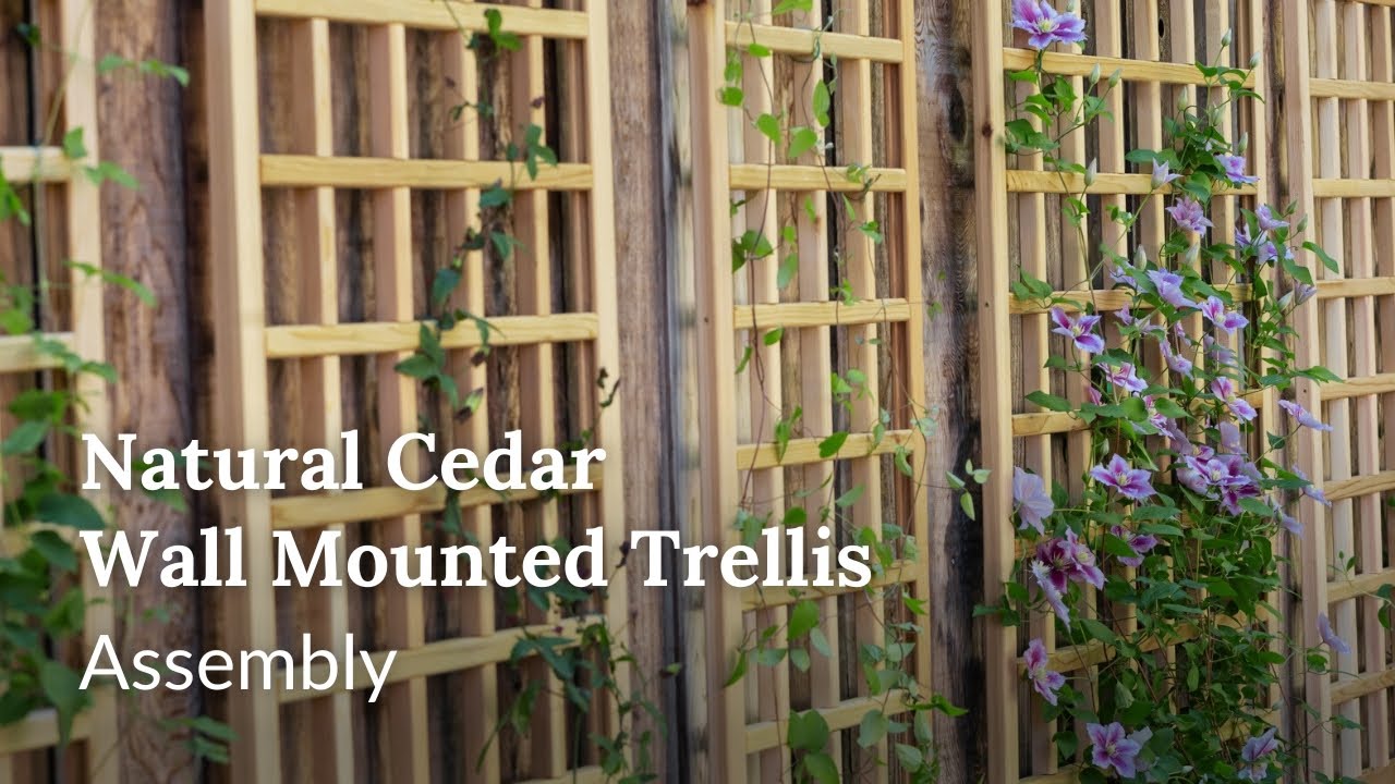 Natural Cedar Wall Mounted Trellis: Assembly