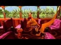 Mikey The Microraptor Dinosaur Train The Jim Henson Company
