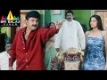 Palanati Brahmanaidu Movie Balakrishna And Jp Bala Krishna Sonali Bendre Sri Balaji Video