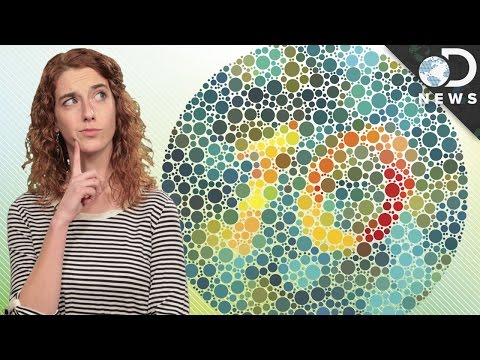 What Causes Color Blindness?