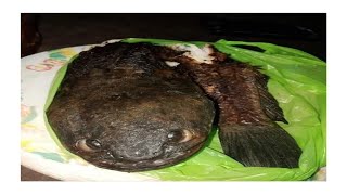 How to cook your dragon