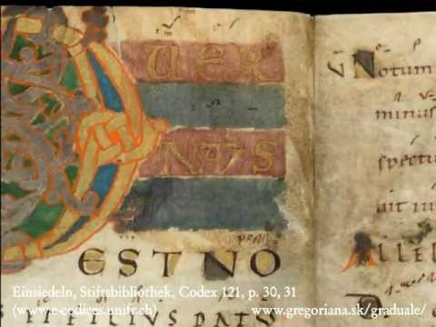 Introitus: Puer natus est nobis