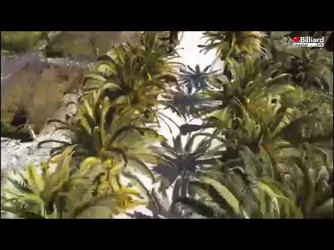 Moscatelli Fernando Danilo VS Summa Rocco -  22° Campionato Italiano Ragusa